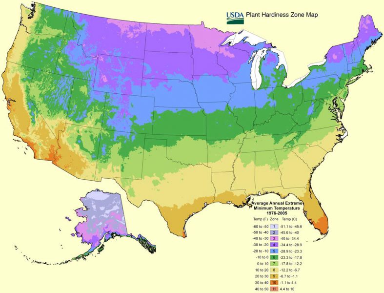 USDA Hardiness Zone Map | Renegade Gardener